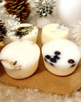 Ceramic Wax Melter and Melts Gift Set