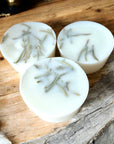 Fern Dale Forest Wax Melts