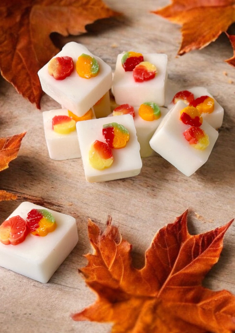 Autumn Wax Melt Collection